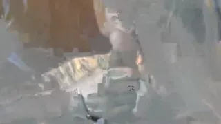 Cute concupiscent white gal is down on her knees sucking a big darksome weenie!