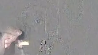 Facial in the shower