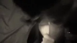 great homemade blowjob  movie and semen fountain