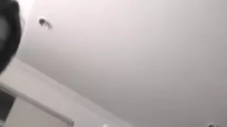 Hot girlfriend sucking penis and balls