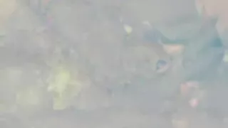 Oral Stimulation and anal sex with my girlfriend