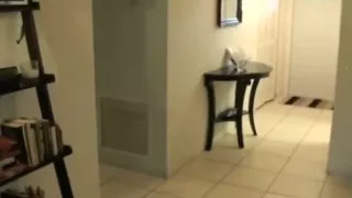 2 Luscious Bisex Harlots Engulfing Rod