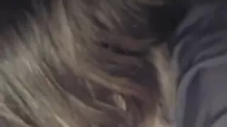 Jena acquires a load of cum up her nose