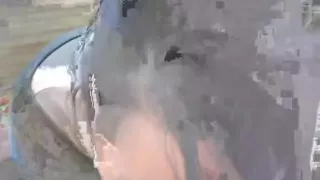 Non-Professional profi oral sex and a-aperture licking