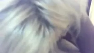 Ding-Knob Loving Blonde Legal Age Teenager Blows Her BF's Pecker POV On The Sofa