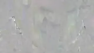 Sloppy Suck Cum and consume