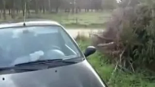 Impure Facial on Web Camera