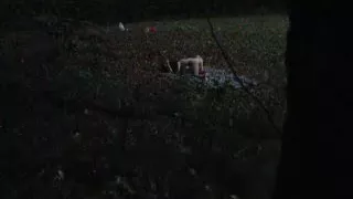 Lesbo 69 oral-service sex outside at night