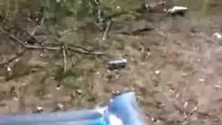 This Honey is sucking my ding-dong on our garden