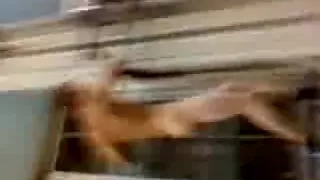 Running naked from window to window