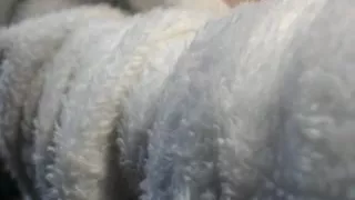 Busty Asian cutie shows her jugs