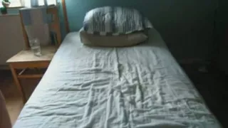 Solo home alone miniature darling