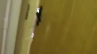 Spying on a sexy darling