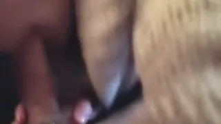 Non-Professional fucking act