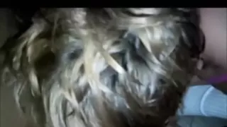 Non-Professional interracial jock sucking action