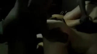 2 wifes with 2 dark studhorses