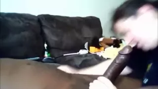 Overweight white cuties always suck wonderful bbc