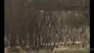 Fucking her in white panties