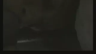 Wife Sucks Me Perfectly