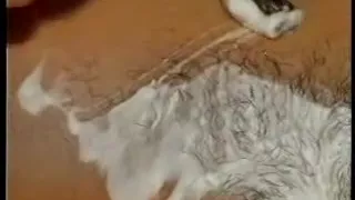 Pussy shaving, 2003