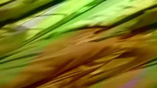 asian gal fucked in the storehouse