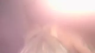 Wife Sucking On A Small Cock