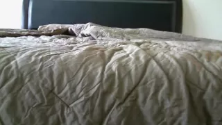 Masturbation in amateur sex vids