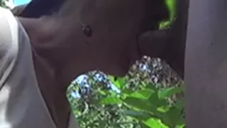 Garden Pee Sept18 Pt 2 Of 2