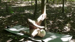 Flexible In Nature - Watch4Fetish