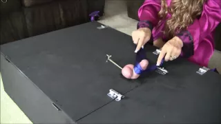 Only The Cock For Torment To See