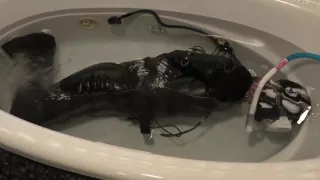 Cohi - 039 - 2rubber Girl 2らばーがーる2 - 水中拘束etc