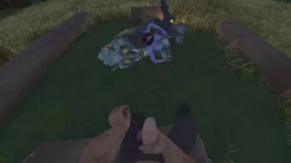 The Furry Show 2 (Different POV) - CGI Porn VR 3D Porn