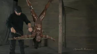 Ashlee Chambers - Fabulous Adult Video Milf Best Watch Show