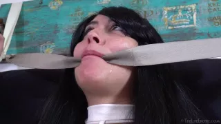 Red Light 2 01 Sophia D - TheLifeErotic