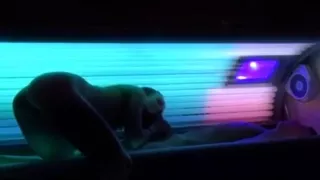 Couple performs hardcore scenes in solarium