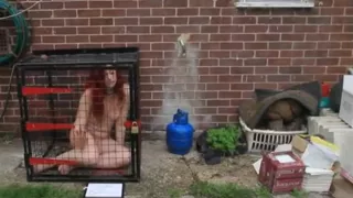 Nude woman in cage