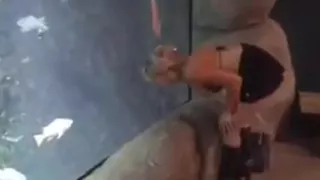 Sex in the open air in Rotterdam, the Netherlands