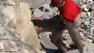 Beach whores... Here they what our wives of the girlfriend!!