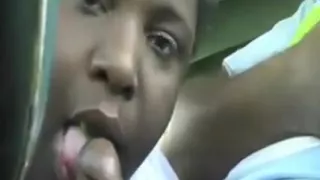 Ebony BBW With Huge Tit's Giving Head