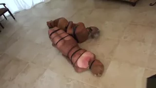 Two girls mummified in pantyhose struggle loose