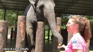 Elena Koshka in Virtual Vacation Movie - ATKGirlfriends