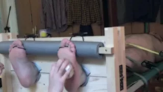 Nackter Bär kitzelt in Aktien und auf einem Gestell