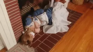 Amazing xxx scene Bondage exclusive will enslaves your mind