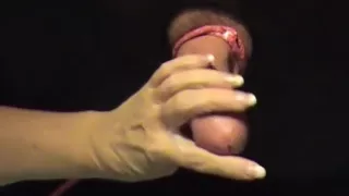 Sadie thorough milking