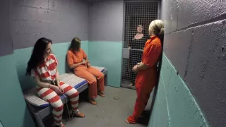 Harboring a Fugitive Part #2