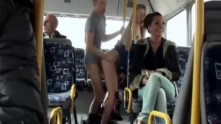Just Your Average Daily Bus Commute