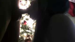 XMAS Dick suck