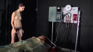 Willow Electro torture