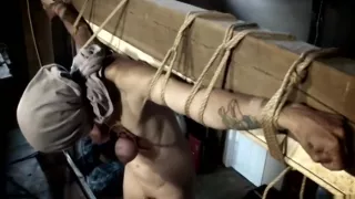 BM Pig - Shit Stain (061014)