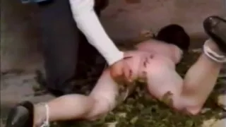 Bed of stinging neetles